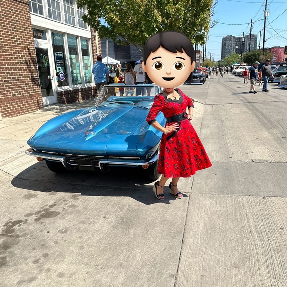 Voodoo Vixen Retro Pinup 50s Katnis cats in the Rain size Small with Pockets - Picture 3 of 12